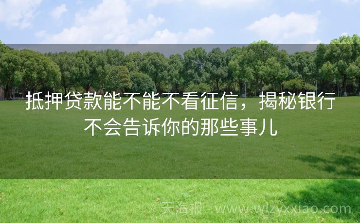 抵押贷款能不能不看征信，揭秘银行不会告诉你的那些事儿