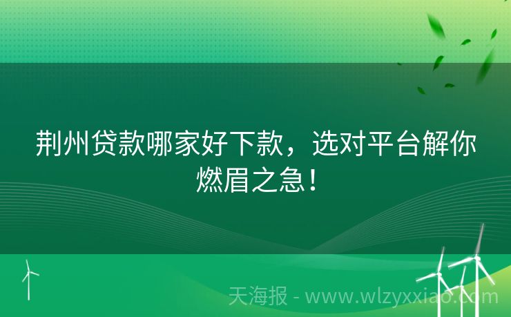 荆州贷款哪家好下款，选对平台解你燃眉之急！