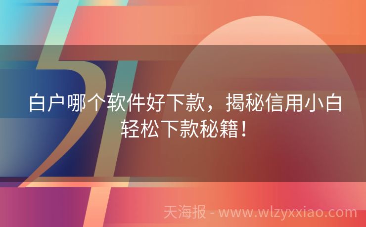 白户哪个软件好下款，揭秘信用小白轻松下款秘籍！