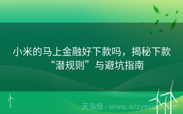 小米的马上金融好下款吗，揭秘下款“潜规则”与避坑指南