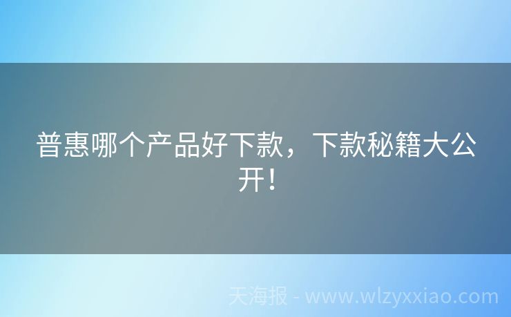 普惠哪个产品好下款，下款秘籍大公开！