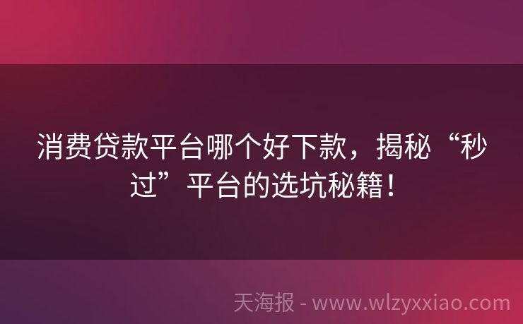 消费贷款平台哪个好下款，揭秘“秒过”平台的选坑秘籍！