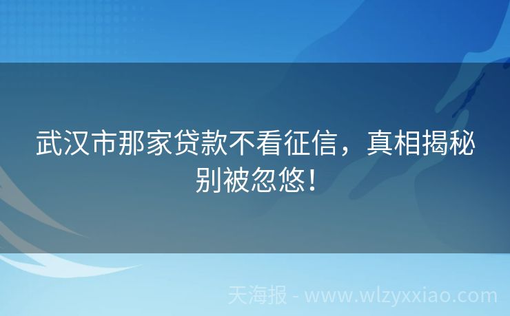 武汉市那家贷款不看征信，真相揭秘别被忽悠！