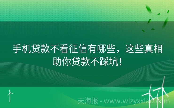 手机贷款不看征信有哪些，这些真相助你贷款不踩坑！