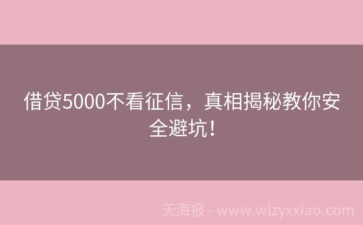 借贷5000不看征信，真相揭秘教你安全避坑！