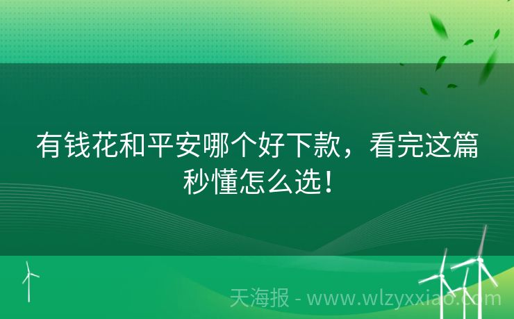 有钱花和平安哪个好下款，看完这篇秒懂怎么选！