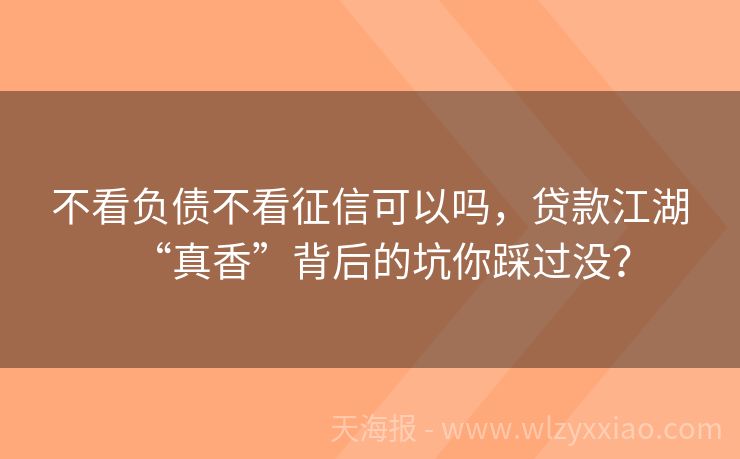 不看负债不看征信可以吗，贷款江湖“真香”背后的坑你踩过没？