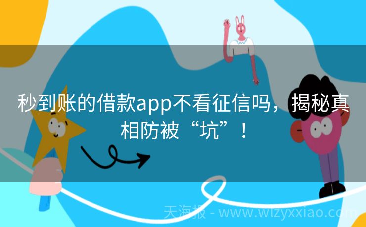 秒到账的借款app不看征信吗，揭秘真相防被“坑”！