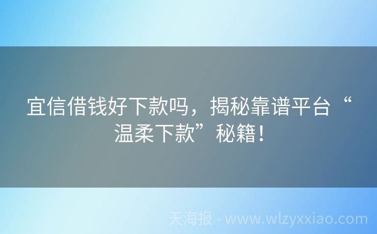 宜信借钱好下款吗，揭秘靠谱平台“温柔下款”秘籍！