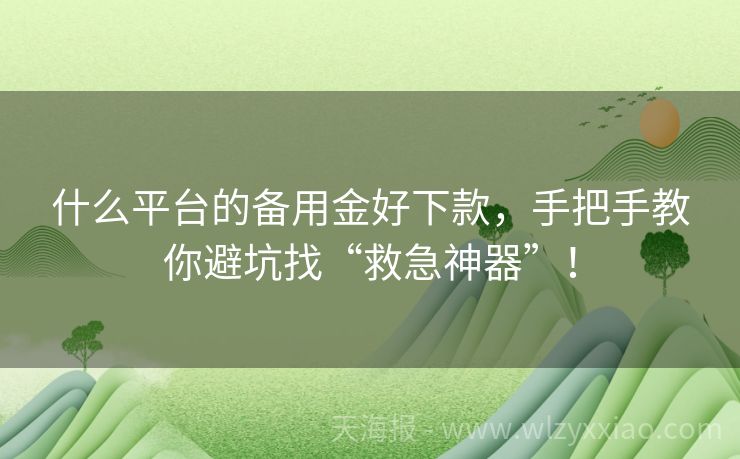 什么平台的备用金好下款，手把手教你避坑找“救急神器”！