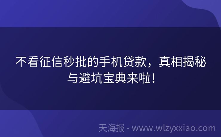 不看征信秒批的手机贷款，真相揭秘与避坑宝典来啦！