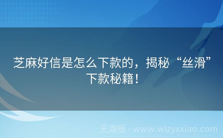 芝麻好信是怎么下款的，揭秘“丝滑”下款秘籍！