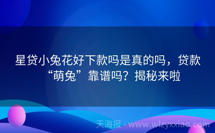 星贷小兔花好下款吗是真的吗，贷款“萌兔”靠谱吗？揭秘来啦