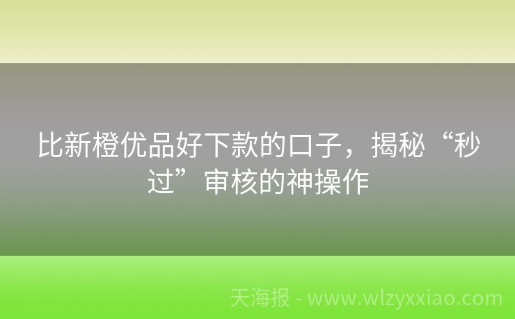 比新橙优品好下款的口子，揭秘“秒过”审核的神操作