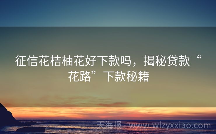 征信花桔柚花好下款吗，揭秘贷款“花路”下款秘籍