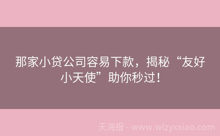 那家小贷公司容易下款，揭秘“友好小天使”助你秒过！