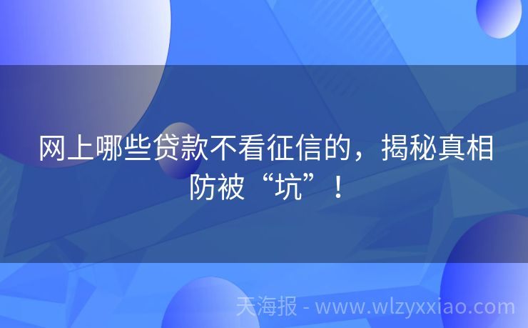网上哪些贷款不看征信的，揭秘真相防被“坑”！