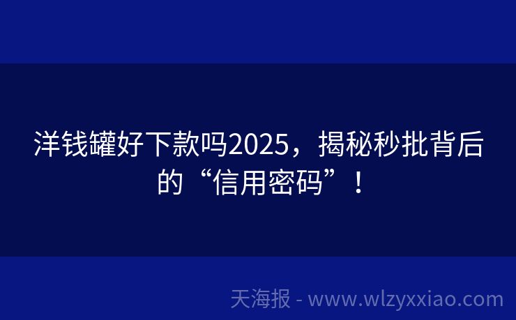 洋钱罐好下款吗2025，揭秘秒批背后的“信用密码”！