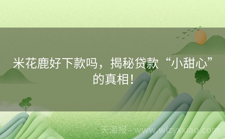 米花鹿好下款吗，揭秘贷款“小甜心”的真相！