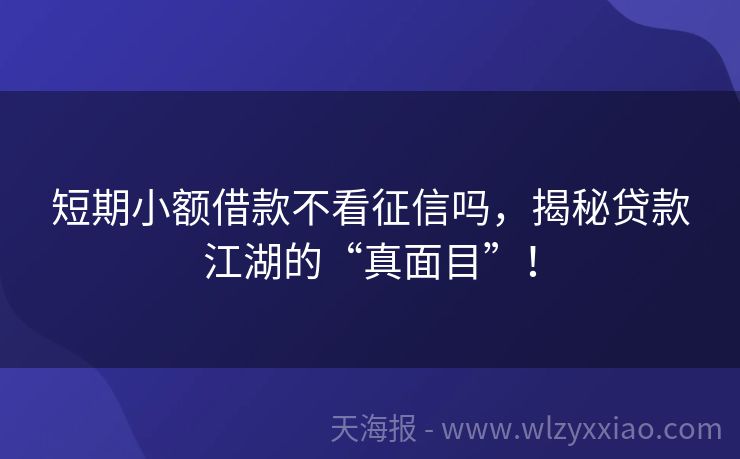 短期小额借款不看征信吗，揭秘贷款江湖的“真面目”！