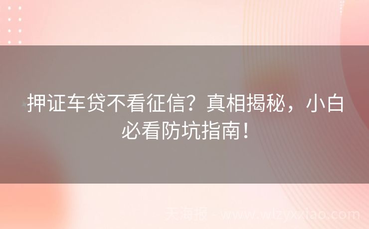 押证车贷不看征信？真相揭秘，小白必看防坑指南！