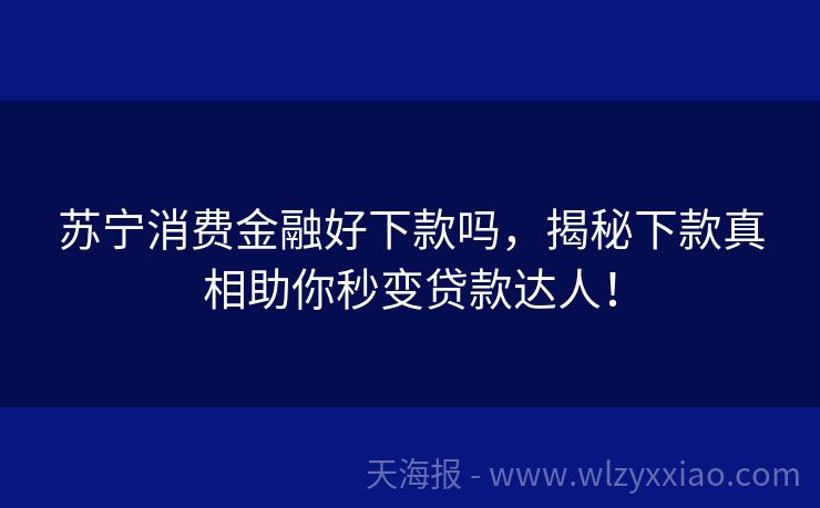 苏宁消费金融好下款吗，揭秘下款真相助你秒变贷款达人！