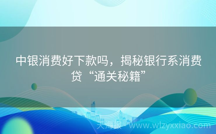 中银消费好下款吗，揭秘银行系消费贷“通关秘籍”