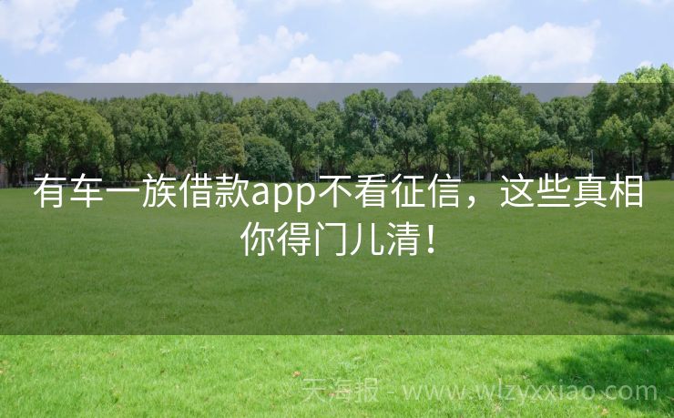 有车一族借款app不看征信，这些真相你得门儿清！