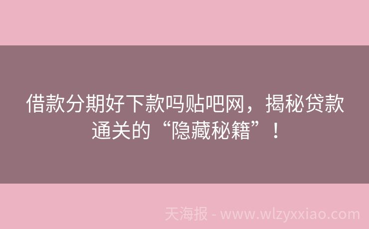 借款分期好下款吗贴吧网，揭秘贷款通关的“隐藏秘籍”！