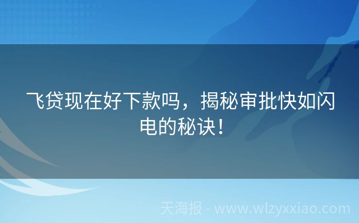 飞贷现在好下款吗，揭秘审批快如闪电的秘诀！