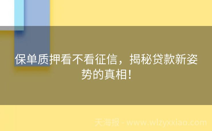 保单质押看不看征信，揭秘贷款新姿势的真相！