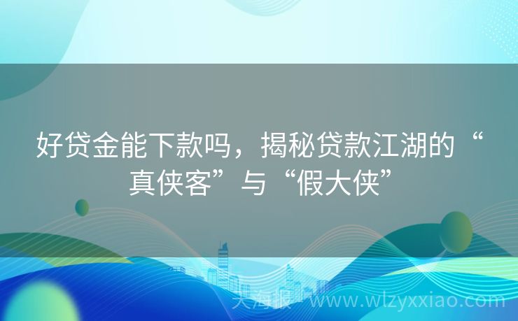 好贷金能下款吗，揭秘贷款江湖的“真侠客”与“假大侠”
