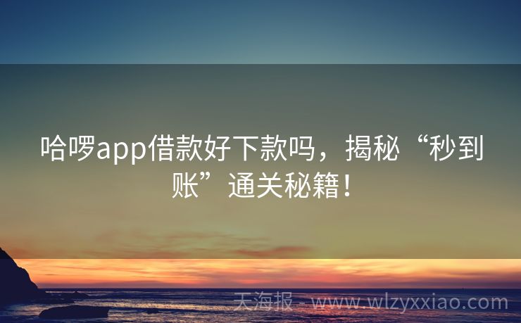 哈啰app借款好下款吗，揭秘“秒到账”通关秘籍！