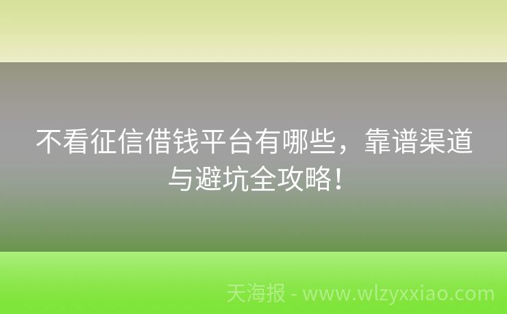 不看征信借钱平台有哪些，靠谱渠道与避坑全攻略！