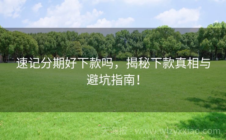 速记分期好下款吗，揭秘下款真相与避坑指南！