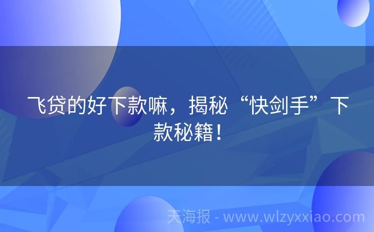飞贷的好下款嘛，揭秘“快剑手”下款秘籍！