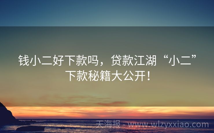钱小二好下款吗，贷款江湖“小二”下款秘籍大公开！