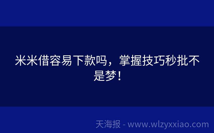 米米借容易下款吗，掌握技巧秒批不是梦！