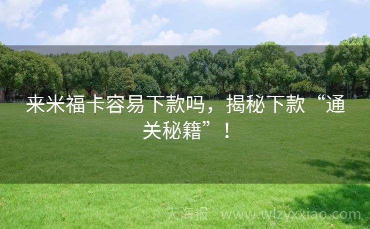 来米福卡容易下款吗，揭秘下款“通关秘籍”！