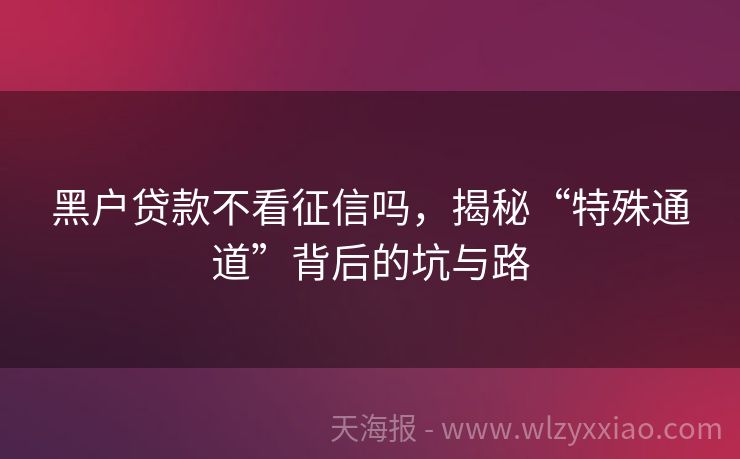 黑户贷款不看征信吗，揭秘“特殊通道”背后的坑与路