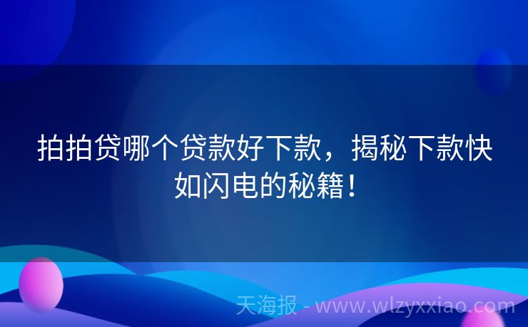 拍拍贷哪个贷款好下款，揭秘下款快如闪电的秘籍！