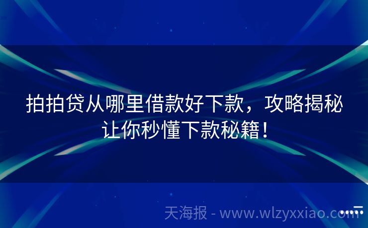 拍拍贷从哪里借款好下款，攻略揭秘让你秒懂下款秘籍！