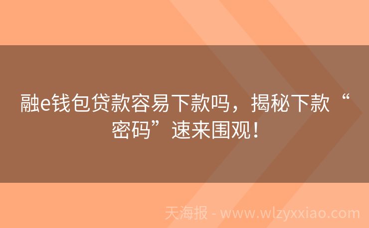 融e钱包贷款容易下款吗，揭秘下款“密码”速来围观！
