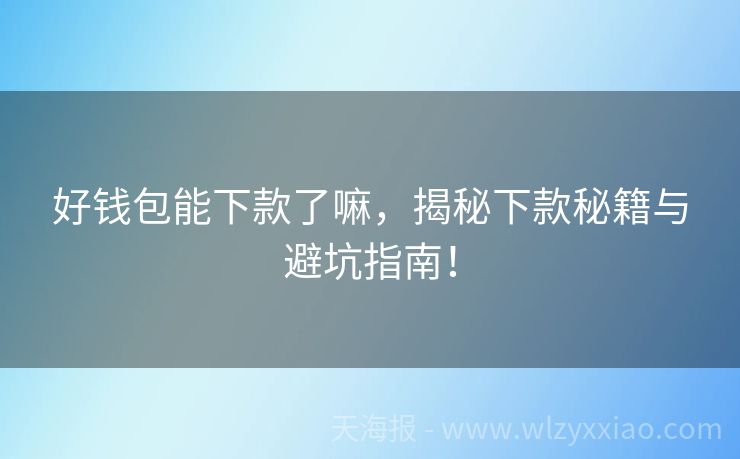 好钱包能下款了嘛，揭秘下款秘籍与避坑指南！
