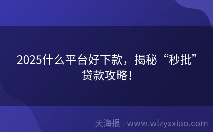 2025什么平台好下款，揭秘“秒批”贷款攻略！