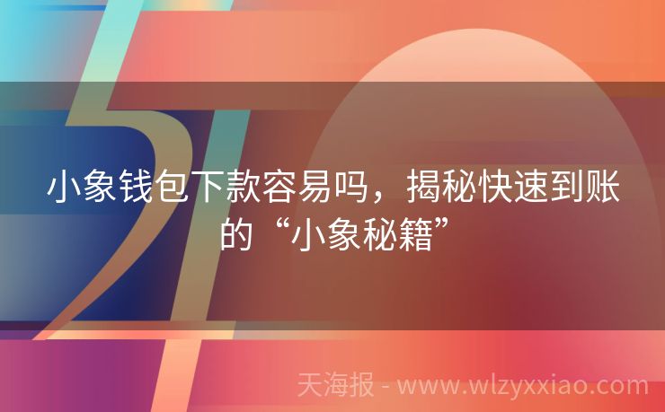 小象钱包下款容易吗，揭秘快速到账的“小象秘籍”