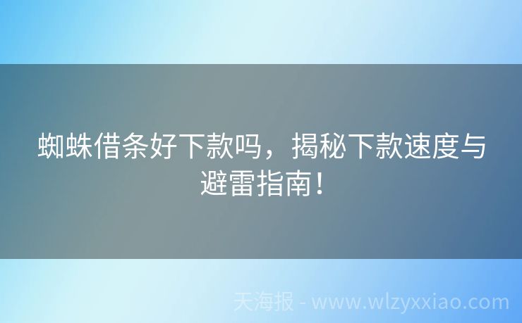 蜘蛛借条好下款吗，揭秘下款速度与避雷指南！