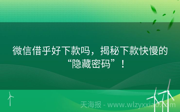 微信借乎好下款吗，揭秘下款快慢的“隐藏密码”！