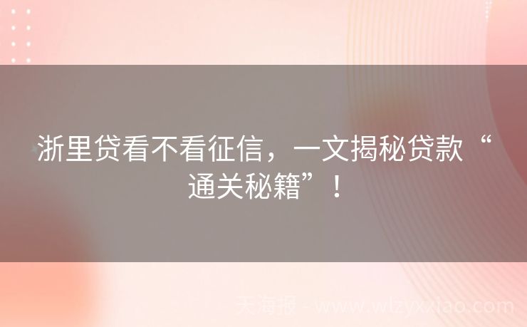 浙里贷看不看征信，一文揭秘贷款“通关秘籍”！