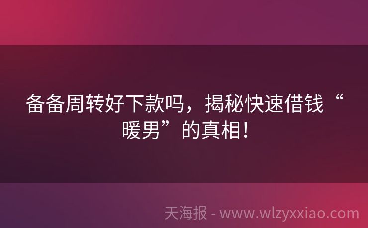备备周转好下款吗，揭秘快速借钱“暖男”的真相！
